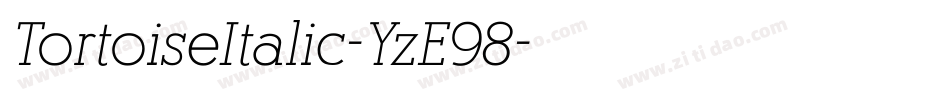 TortoiseItalic-YzE98字体转换