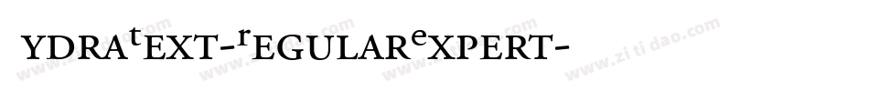 HydraText-RegularExpert字体转换