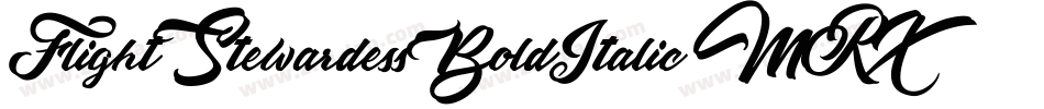 FlightStewardessBoldItalic-MRXv字体转换