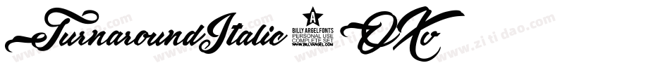 TurnaroundItalic-6OXv字体转换