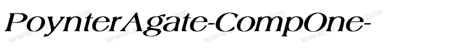 PoynterAgate-CompOne字体转换
