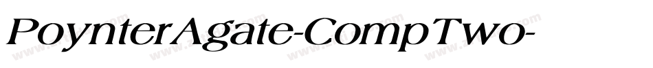 PoynterAgate-CompTwo字体转换