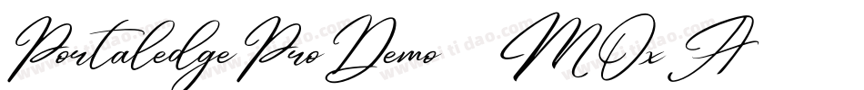 PortaledgeProDemo-8MOxA字体转换