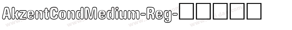 AkzentCondMedium-Reg字体转换