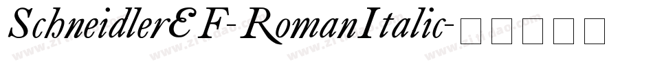 SchneidlerEF-RomanItalic字体转换
