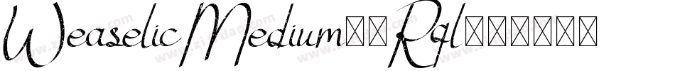WeaselicMedium-7Rql字体转换
