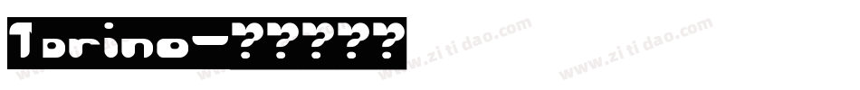 Torino字体转换