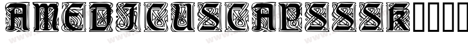 AmedicusCapsSSK字体转换