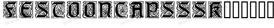 FestoonCapsSSK字体转换