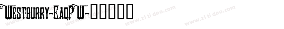 Westburry-EaqPW字体转换