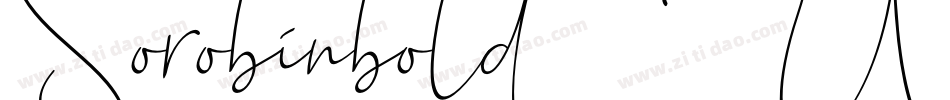 Sorobinbold-2W1W字体转换