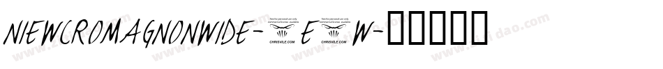 NiewCromagnonWide-2E3W字体转换