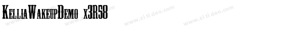 KelliaWakeupDemo-x3R58字体转换