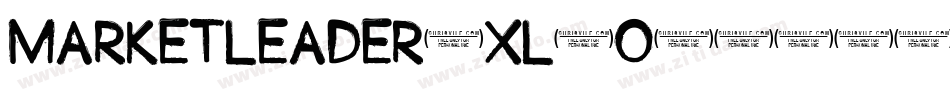 MarketLeader-XL6o字体转换