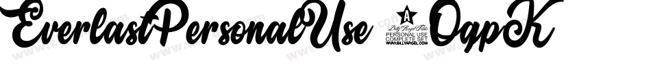 EverlastPersonalUse-2OgpK字体转换