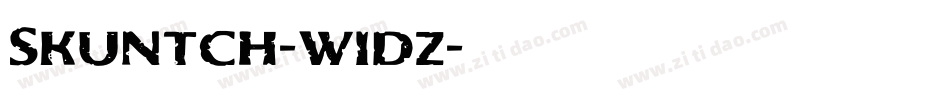 Skuntch-w1dz字体转换