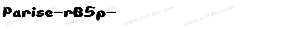 Parise-rB5p字体转换 Parise-rB5p字体转换