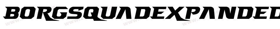 borgsquadexpanded字体转换