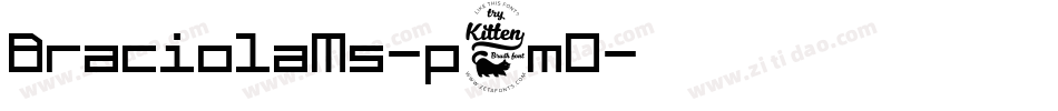 BraciolaMs-p6mO字体转换
