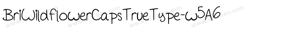 BriWildflowerCapsTrueType-w5A6字体转换