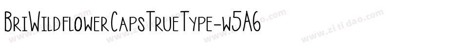 BriWildflowerCapsTrueType-w5A6字体转换
