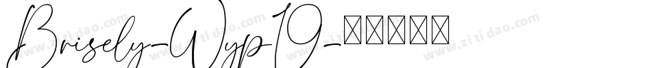 Brisely-Wyp19字体转换