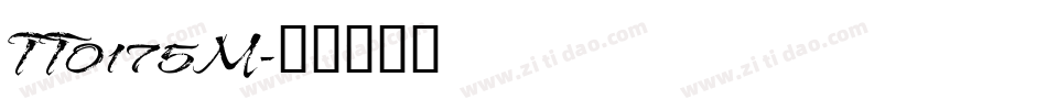 TT0175M字体转换
