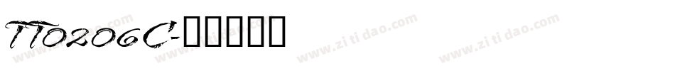TT0206C字体转换