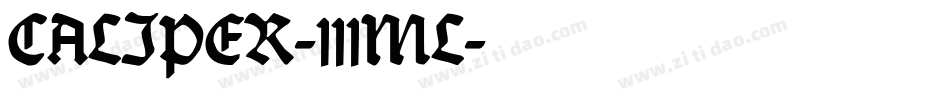 CALIPER-111ML字体转换