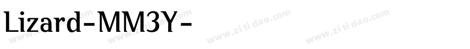 Lizard-MM3Y字体转换