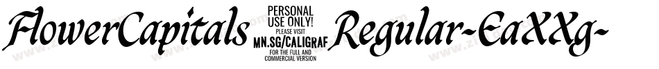 FlowerCapitals3Regular-EaXXg字体转换