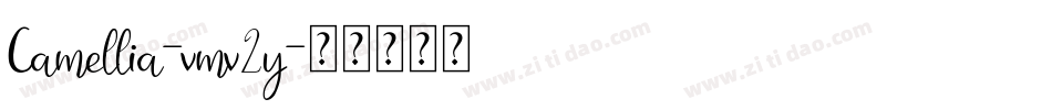Camellia-vmv2y字体转换