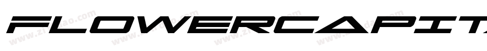FlowerCapitals4Regular-OVEEo字体转换