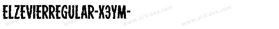 ElzevierRegular-x3Ym字体转换