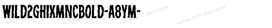 Wild2ghixmncBold-A8Ym字体转换 Wild2ghixmncBold-A8Ym字体转换