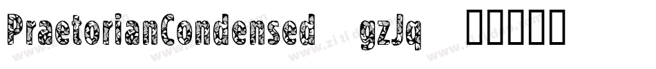 PraetorianCondensed-gzJq字体转换 PraetorianCondensed-gzJq字体转换
