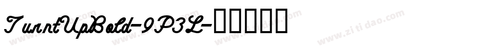 TurntUpBold-9P3L字体转换