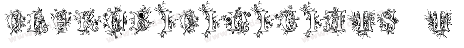 Cherubicinitials-L8zZ字体转换
