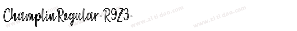 ChamplinRegular-R9Z3字体转换