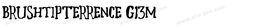 BrushTipterrence-G13m字体转换