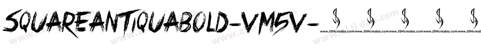 SquareAntiquaBold-VM5V字体转换