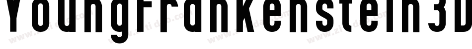 YoungFrankenstein3DItalic-WE7v字体转换