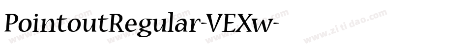PointoutRegular-VEXw字体转换