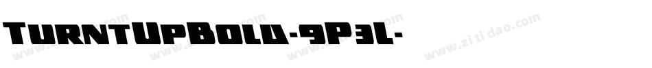 TurntUpBold-9P3L字体转换