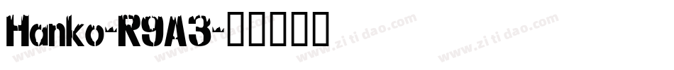 Hanko-R9A3字体转换