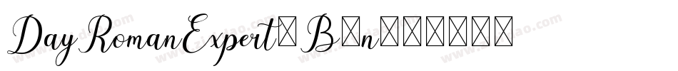 DayRomanExpert-B7n字体转换