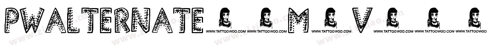 Pwalternate-1M6v字体转换 Pwalternate-1M6v字体转换