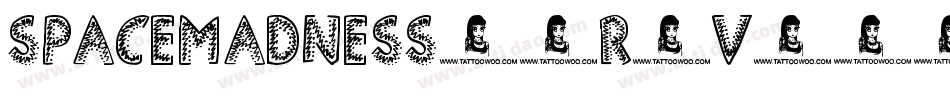 SpaceMadness-2R6v字体转换 SpaceMadness-2R6v字体转换