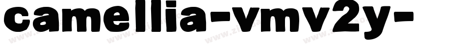 Camellia-vmv2y字体转换