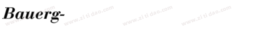 Bauerg字体转换